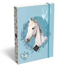 ICO: Lizzysuli Wild Beauty Sport Club gemusterte Heftbox A5