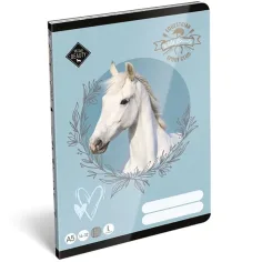 ICO: Lizzysuli Wild Beauty Sport Club liniertes Heft für die 1. Klasse