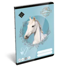 ICO: Lizzysuli Wild Beauty Sport Club liniertes Heft für die 2. Klasse