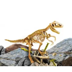 I'M Genius: Tyrannosaurus Rex Dinosaurier-Ausgrabungsset mit Werkzeugen Bild 2