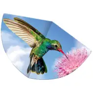 Kolibri-Drachenflieger