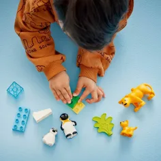 LEGO® DUPLO®: Tierfamilien in der Wildnis: Pinguine und Löwen (10442) Bild 3