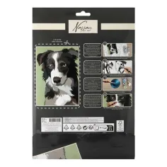 Malen nach Zahlen 33,5x23,8 cm Bild - Hund Bild 2