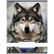 Nebulo: Farkas glattes Heft A4 80-32