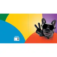 Nebulo: Heftbox A/5 Größe Cooler Bulldogge