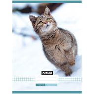 Nebulo: geheftetes kariertes Heft mit Katzenmuster 87-32 A4