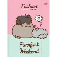 Pusheen Gummimappe im A4-Format