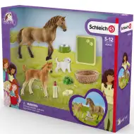 Schleich: Horse Club - Sarahs kleine Tierpflegeset (42432)