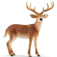 Schleich: Weißwedelhirsch Figur (14818)