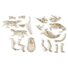 Science&Play: Archeofun Leuchtender T-rex und Triceratops Archäologie-Set - Clementoni Bild 3