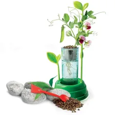 Science&Play: Hydrokultur-Botanisches Labor - Clementoni Bild 3