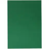 Spirit: Dekorationskarton in Grün 70x100cm