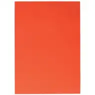 Spirit: Dekorationskarton in Orange 70x100cm 1 Stück