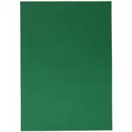 Spirit: Grüner Dekorationskarton 220g im A4-Format 1 Stück