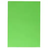 Spirit: Grüner Dekorkarton 70x100cm 220g