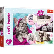 Süße Kätzchen Puzzle 160-teilig - Trefl