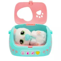 Baby Paw – Babykatze Bild 2