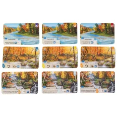 Der Wald – Smoky Mountains Gesellschaftsspiel Bild 2