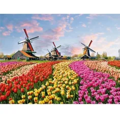 Diamantmalerei: Holländisches Tulpenfeld Diamantmalset 30x40cm