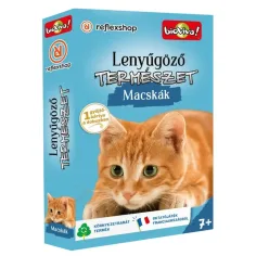 Faszinierende Natur - Katzen Kartenspiel