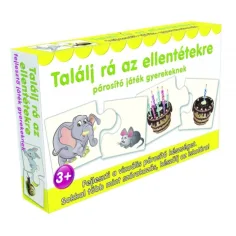 Finde die Paare der Gegensätze Spiel
