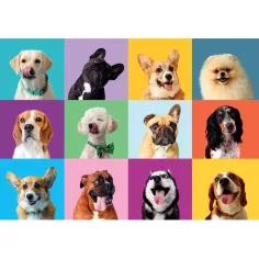 Fröhliche Hundegesichter 300-teiliges Puzzle - Clementoni Bild 2