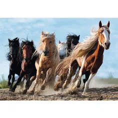 Rasende Pferde 1000-teiliges Premium-Puzzle - Trefl Bild 2