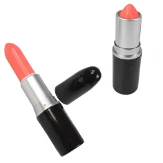 Girls Creator: Realistisches Schminkset mit Lippenstift, Make-up und Pinseln Bild 4