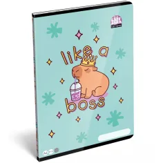 ICO: LizzySuli Lollipop Capybara gemustertes kariertes Heft A/4 27-32 Bild 1