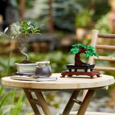 LEGO® Creator: Bonsai-Baum (10281) Bild 5