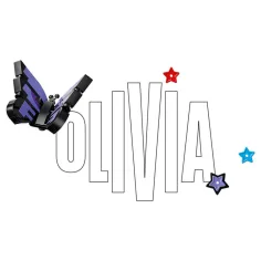 LEGO® Editionen: Olivia Rodrigo Geheimlager (43030) Bild 5