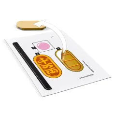 LEGO®: Glückskatze (40813) Bild 4