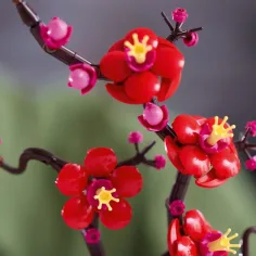LEGO® Icons: Pflaumenblüte (10369) Bild 6