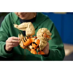 LEGO® Pokémon: Arcanin (72160) Bild 8
