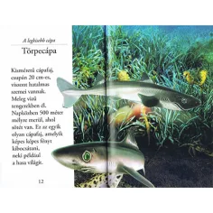 Lies mit uns! (2) - Die Welt der Haie Kinderbuch Bild 2