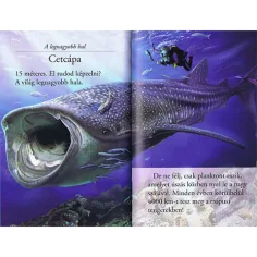 Lies mit uns! (2) - Die Welt der Haie Kinderbuch Bild 3