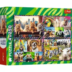 Lustige Tiere 4x250 Teile Puzzle - Trefl