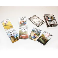 Mlle Lenormand Wahrsagekarten - Piatnik Bild 2