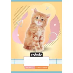 Nebulo: Gestreifte 2. Klasse Heft A5 16-32 Tierisch - Katzen