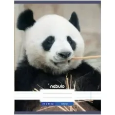 Nebulo: Panda glattes Heft A4 80-32