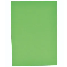 PlayBox: Grüner Kartonpapier-Set A4 25 Stück 180g