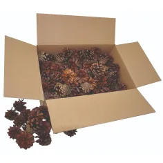 PlayBox: Kieferzapfen Set 125-teilig