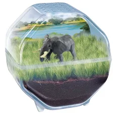 Science & Play: Mini-Elefanten-Terrarium-Spielset - Clementoni Bild 2