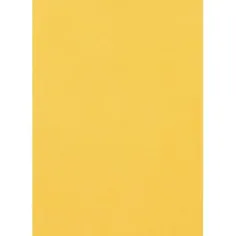 Spirit: Goldene Schwammplatte A/4 Größe 2mm