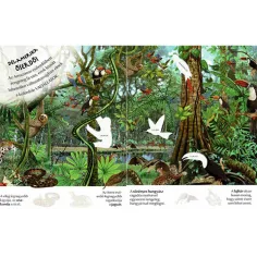 Wie interessant die Welt ist... Wildtiere Stickerheft Bild 2