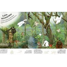 Wie interessant die Welt ist... Wildtiere Stickerheft Bild 3