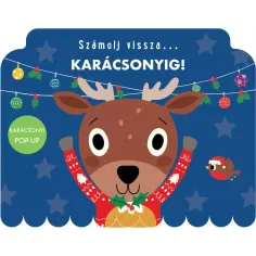 Zähle zurück... bis Weihnachten! Bilderbuch