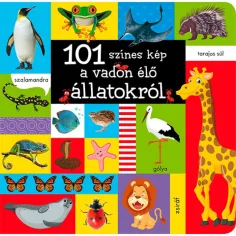 101 bunte Bilder von Wildtieren Bilderbuch Bild 1