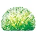 4M leuchtendes Kristallwachstumsset Bild 3