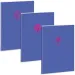 Ars Una: Soft Touch Violet Spring extra Heftklammern kariertes Heft A/4